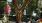 Downtown Vacaville Statue